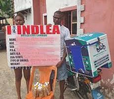 ndlea