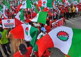 nlc labour 1 1