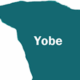 yobe state