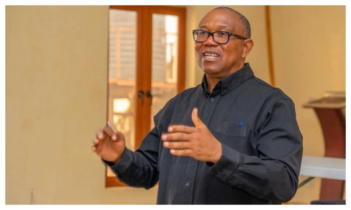 1788511223 Peter Obi