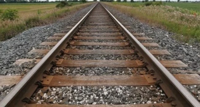 1788543318 rail