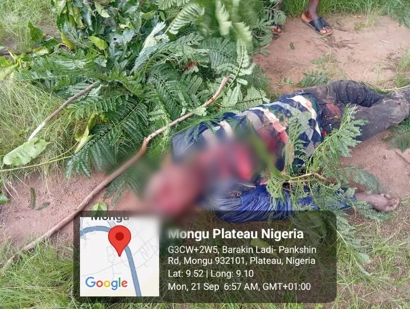 77706 1790109910