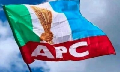 APC Flag1
