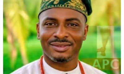 APC candidate wins Delta Udu bye election
