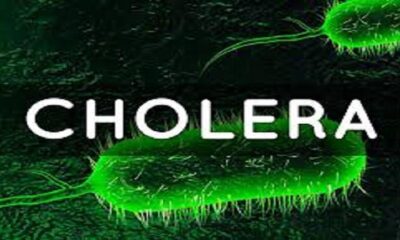 Cholera cholera