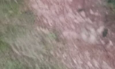 IMG 7588 1790711000