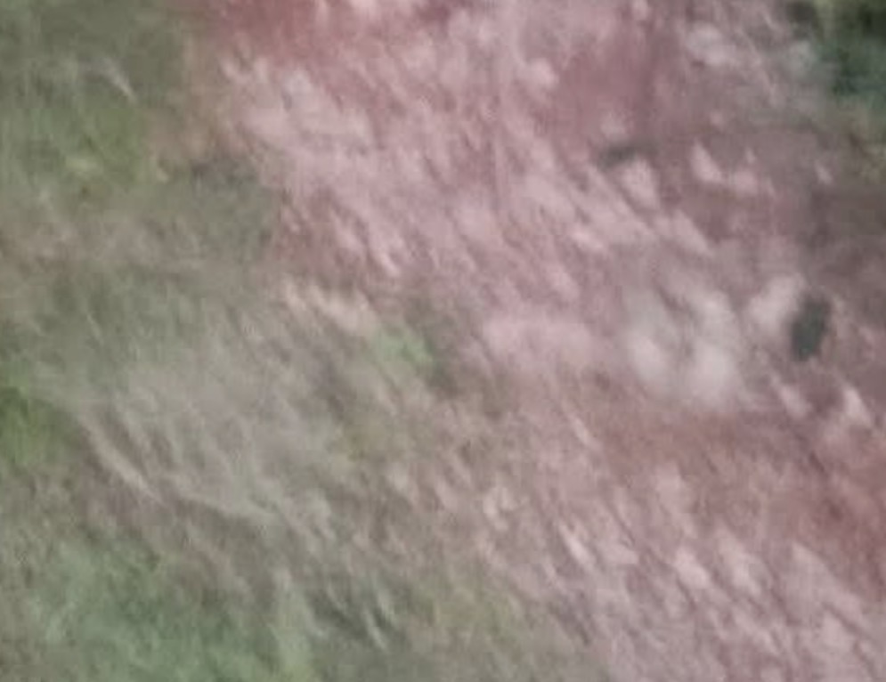 IMG 7588 1790711000