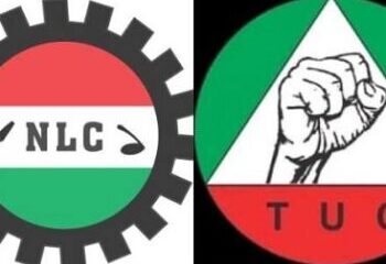 NLC n tuc 1