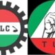 NLC n tuc 1