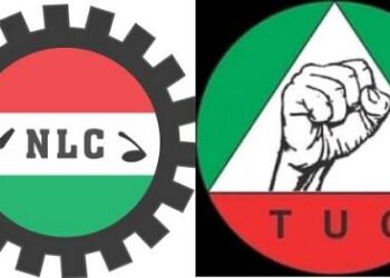 NLC n tuc 1