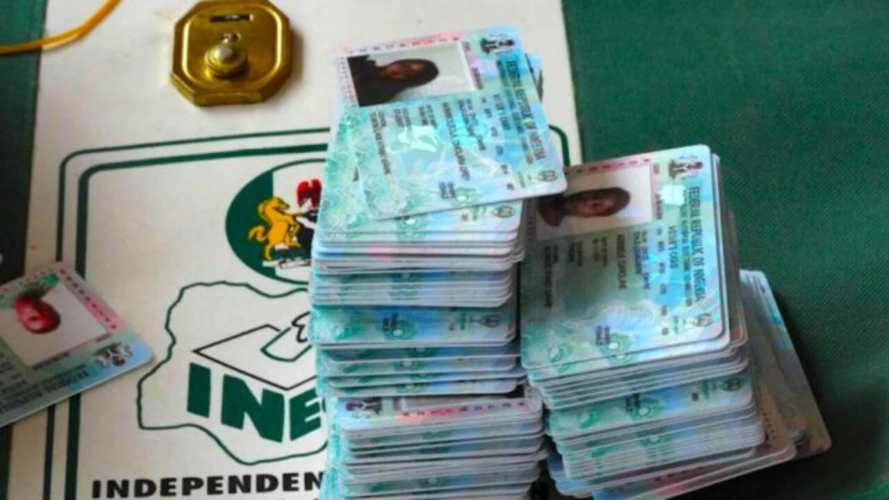 PVCs 1 e1674574047728 1280x720 1