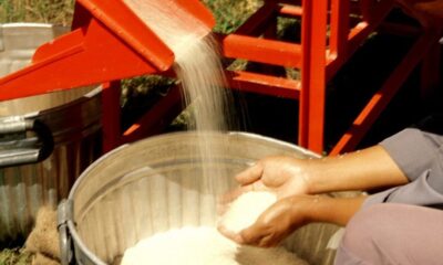 Rice mill 1000x550