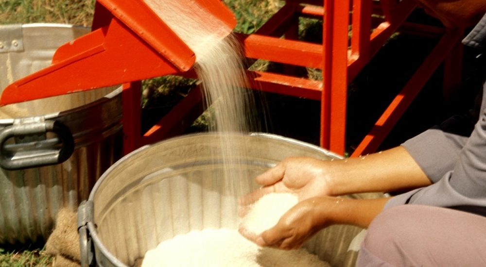 Rice mill
