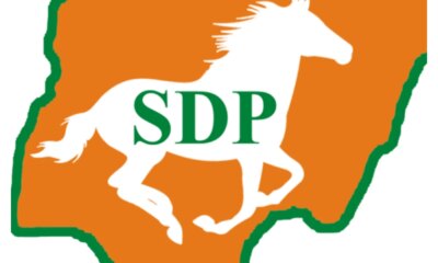SDP
