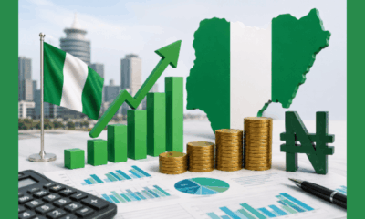 The Nigerian economy 1