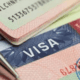 Visa 1 1790072209