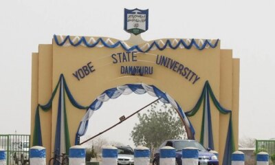 Yobe State University