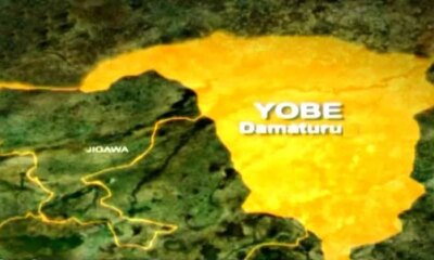 Yobe State map 1