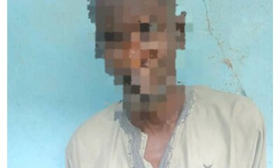 adamawa teacher