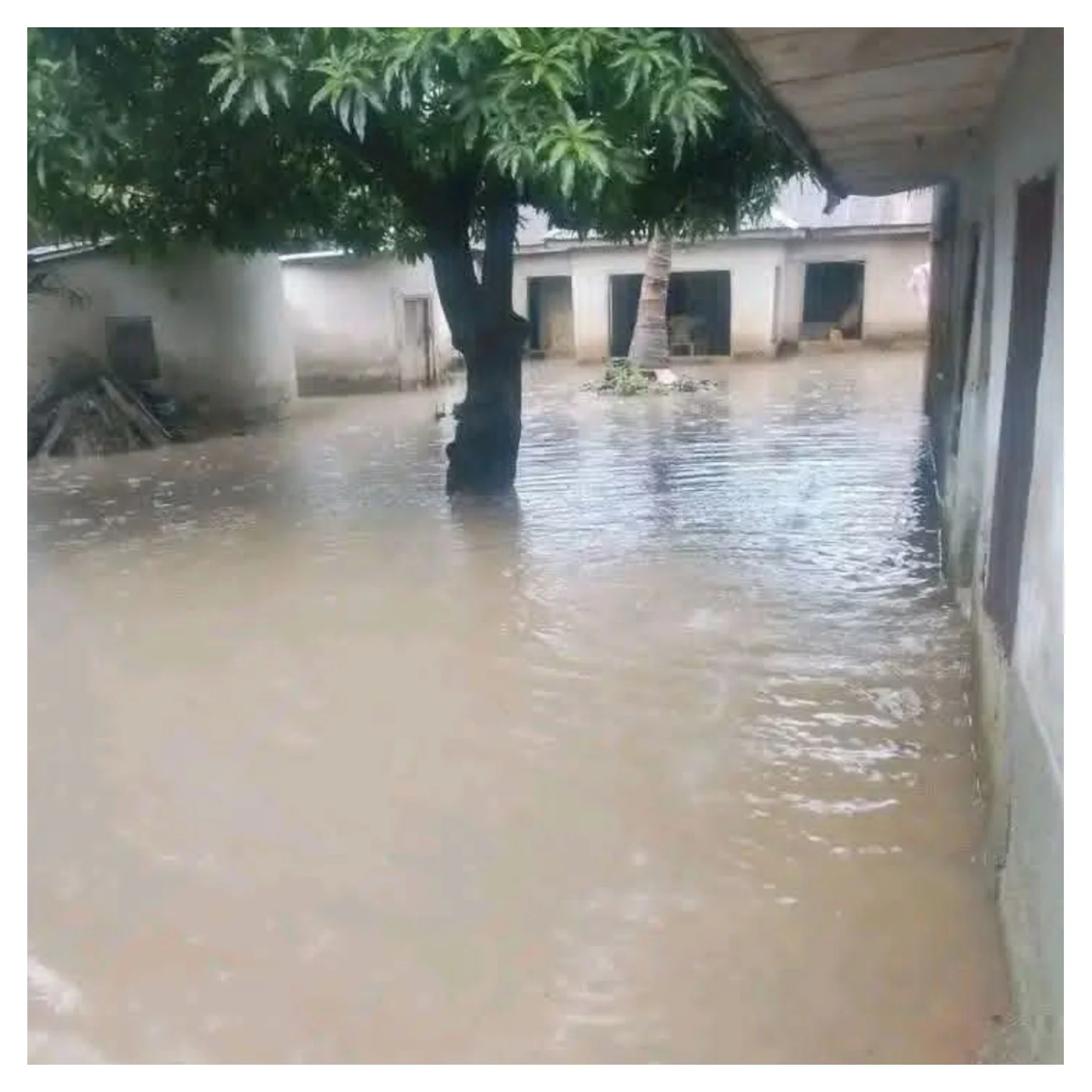 benue rain