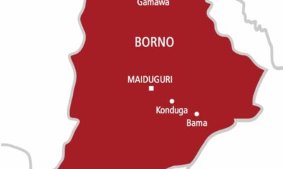 borno state map