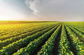 farms agriculture 1 1