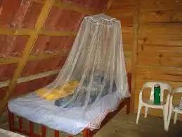 mosquito nets