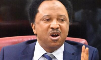 1279065d shehu sani1