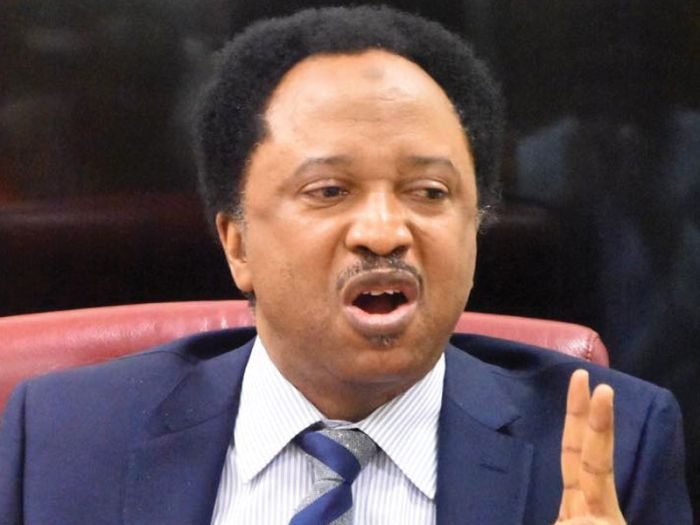 1279065d shehu sani1