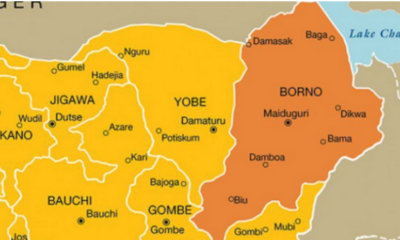 1791029435 borno