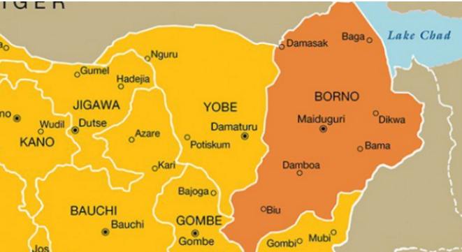 1791029435 borno