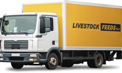 1792593762 livestock feeds
