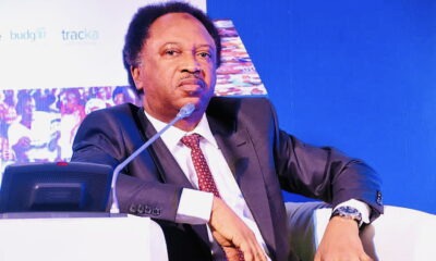 1793021895 Shehu Sani