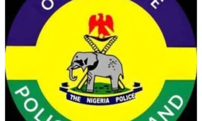1793035228 Ogun State Police Command
