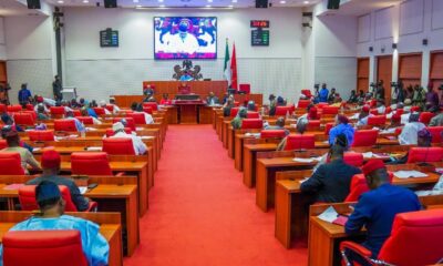1793042851 Nigerian Senate