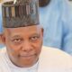1793044776 shettima