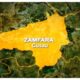 1793171850 Zamfara state