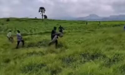 84542 1793099902