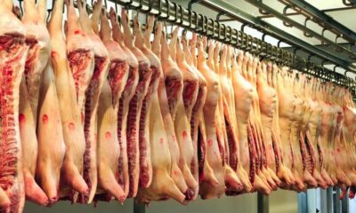 Abattoir Beef Meat 1