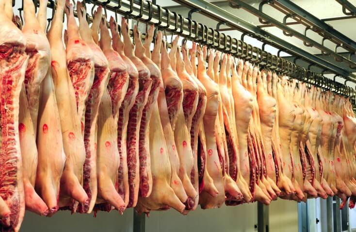 Abattoir Beef Meat 1