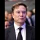 Elon Musk 1 1 large