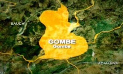 Gombe State map