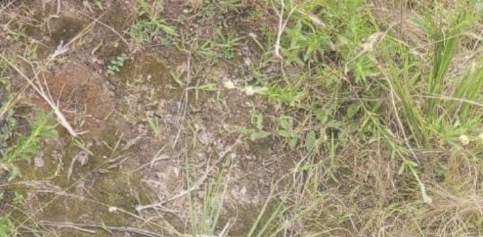 IMG 7704 1790933559