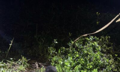 IMG 8070 1791363072