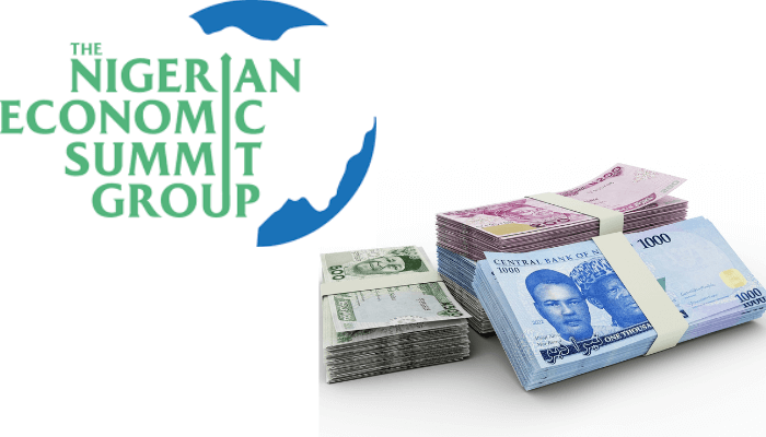 NESGNaira 1 large