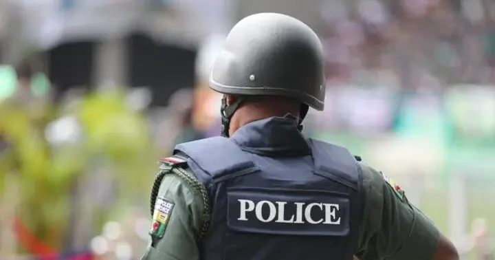 Nigerian Police.jpeg