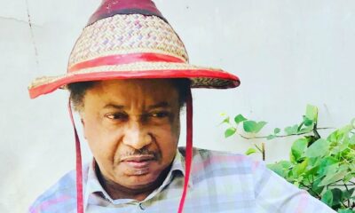 Shehu20sani4