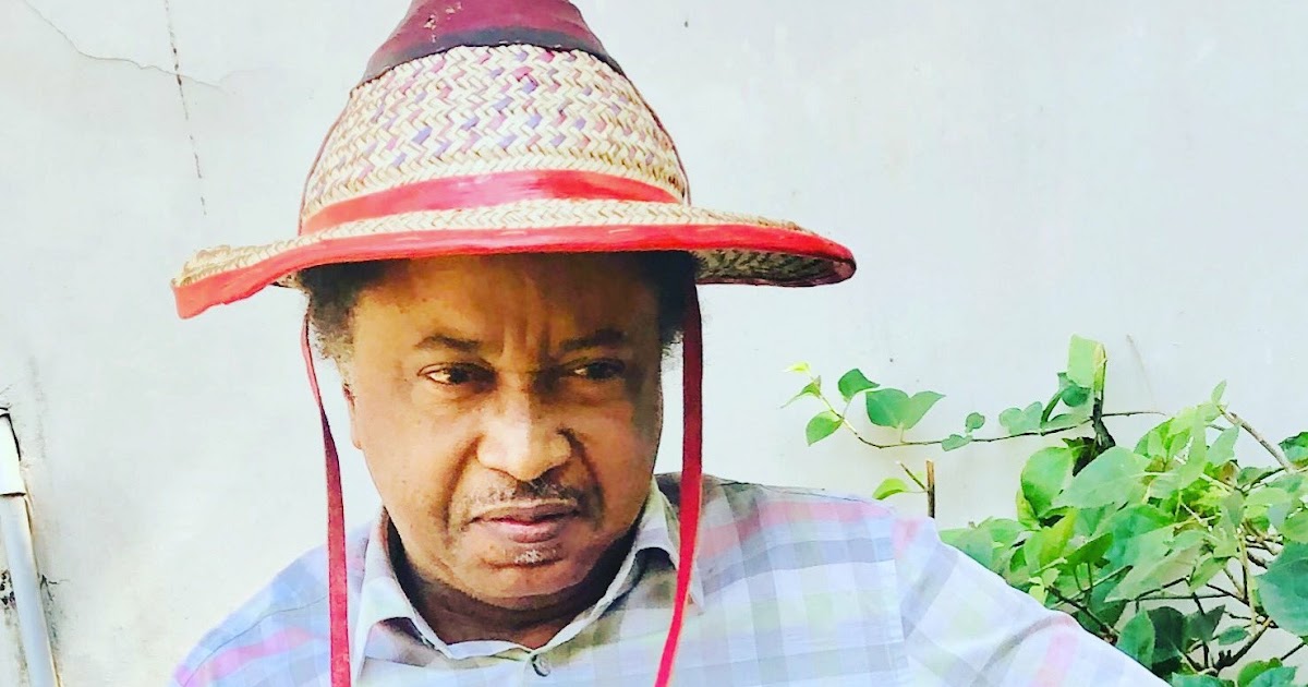 Shehu20sani4