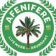 afenifere 1