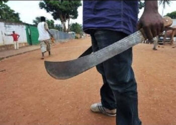 cutlass cultists youth fight 1